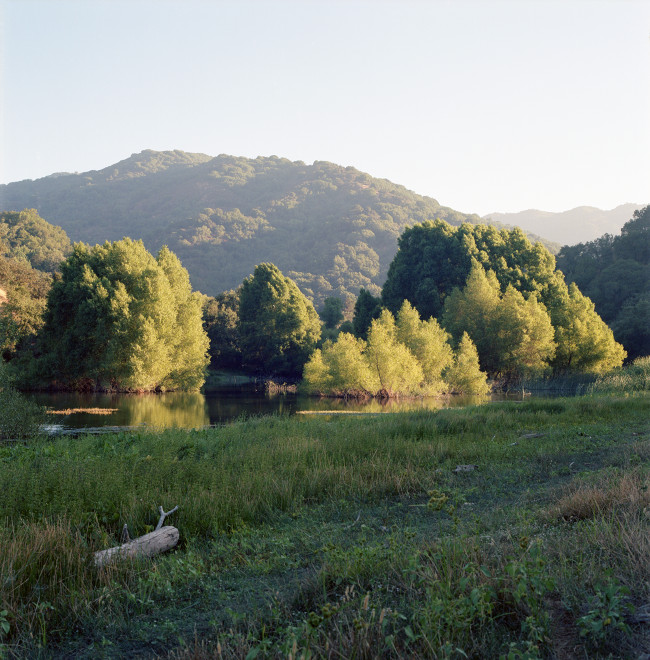 The sun, just before setting behind the hills west of Almaden Reservoir, is illuminating the soft green of the trees standing in the water at the south end of the reservoir. In the background, the mountain south of the reservoir.