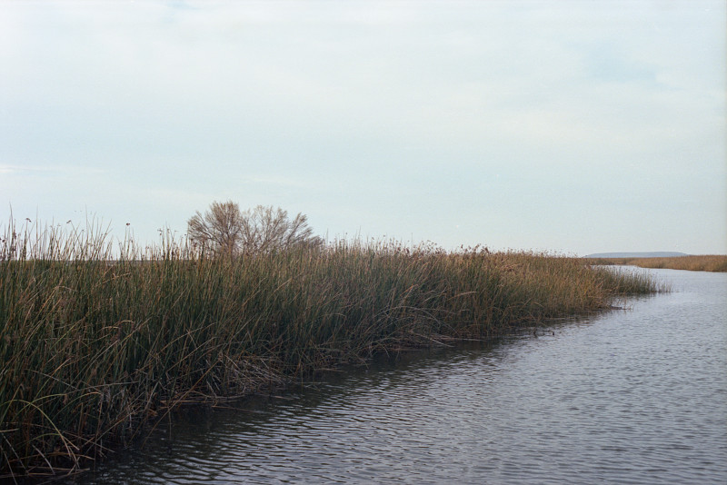 Channel in the wetlands at Don Edwards Wildlife Refuge at Alviso, San Francisco Bay.