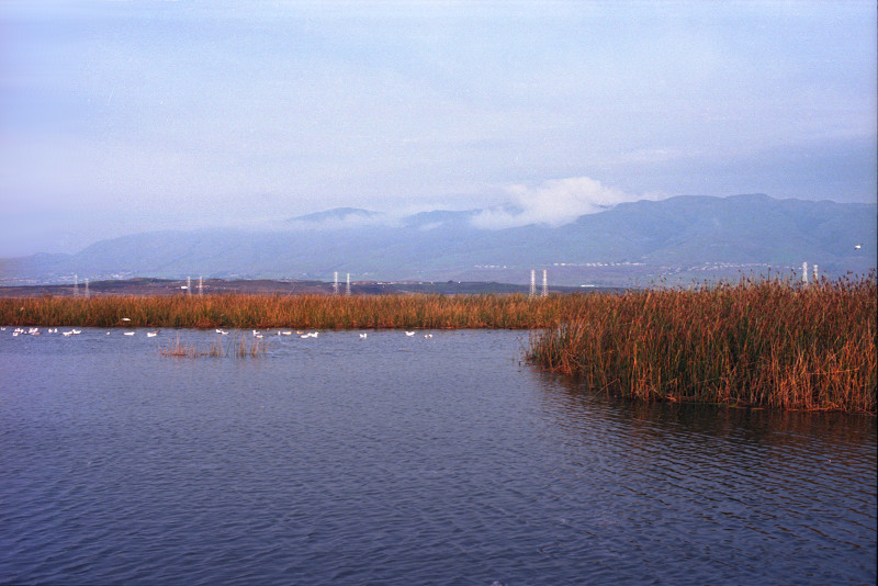 Large lake at Don Edwards Wildlife Refuge, Alviso.