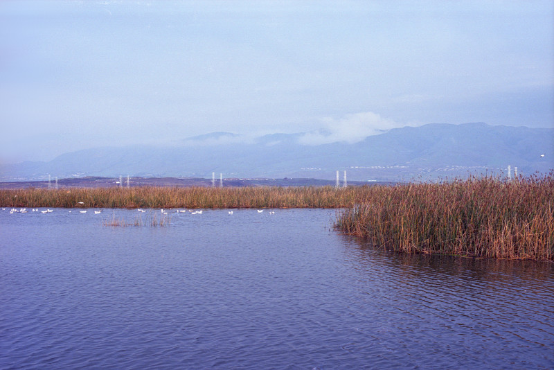 Large lake at Don Edwards Wildlife Refuge, Alviso.