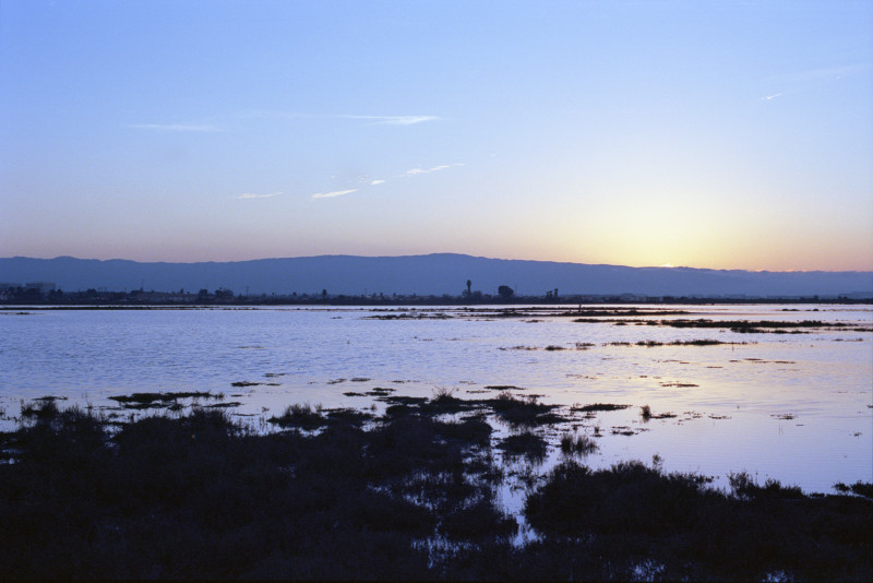 Sunset at Don Edwards Wildlife Refuge, Alviso.