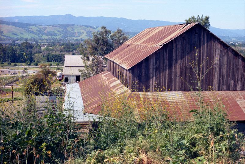 Basilica barn with rusted corrugated iron roof, garden and grasses foreground. In the distance, the valley, then a range of hills, and far distant the coast range, all in winter green. Santa Clara County.