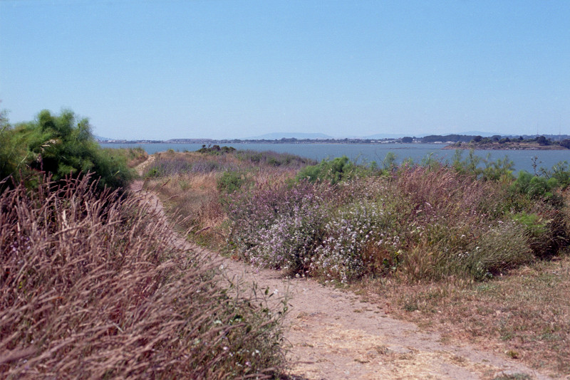 By the Bay Trail - Trail leading to the Berkeley Marina