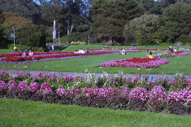 Picnic at the Hall of Flowers in Golden Gate Park.