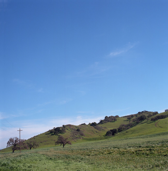 Ridge along Hale Avenue in the green of winter.