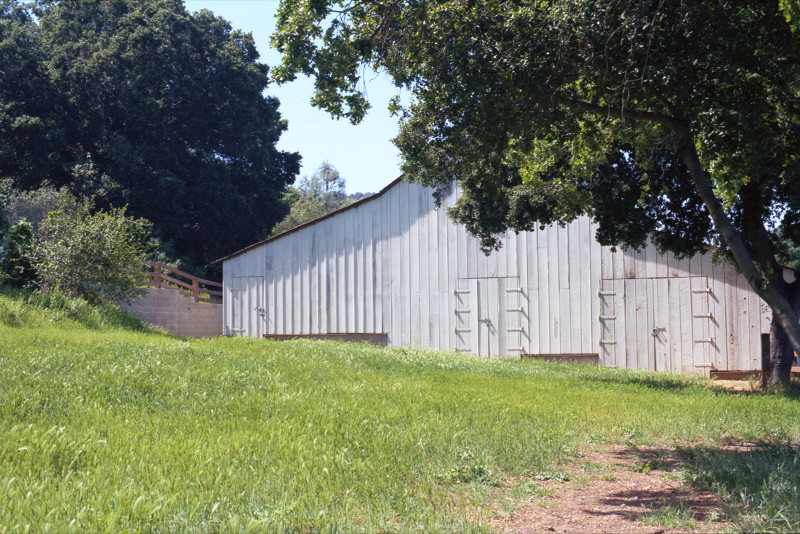 The white barn in this peaceful little place with the big trees and the green meadow, in the Bernal Ranch in the Santa Teresa neighborhood. I named the photograph after a restaurant in Madrid of the same name - 'The White Barn'; it was a very friendly place.