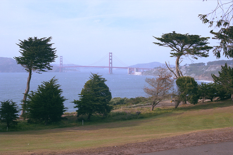Looking toward the Golden Gate Bridge from Lincoln Park, San Francisco.