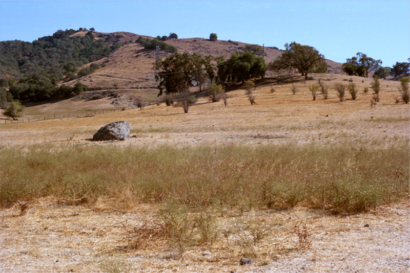 The boulder rises from pastureland near Mckean Road. Farther away, the land slopes up into a hillock at upper left, a forest of oaks filling the ravine running down toward the camera. More oaks closer in. No more comfortable landscape, for my money.