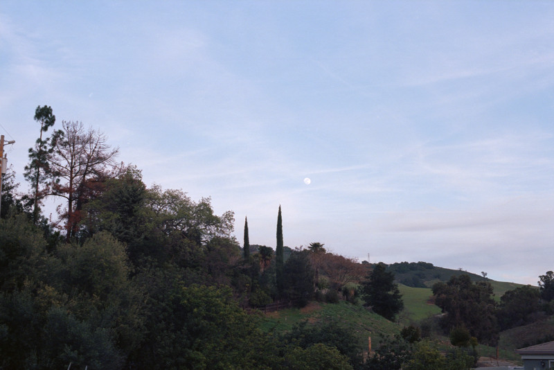 The moon - tiny in this photograph - is in the center of a mixed white and blue sky over the trees of the hill descending from the left. Twin Italian cypresses standing out against the sky are the making of this picture. Near Mckean Road.