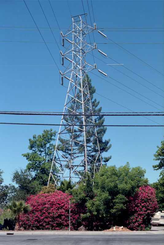 Power transmission tower and floral trimmings in a residential neighborhood
