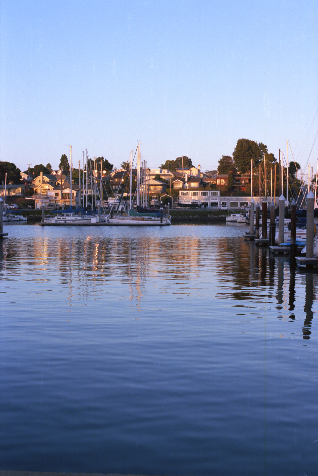 Reflections of the golden sunset on the water and on the houses standing on the far side of Santa Cruz Yacht Harbor. The sky fittingly blue.