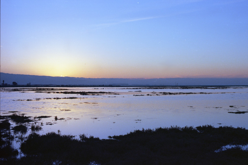 Sunset at Don Edwards Wildlife Refuge, Alviso.