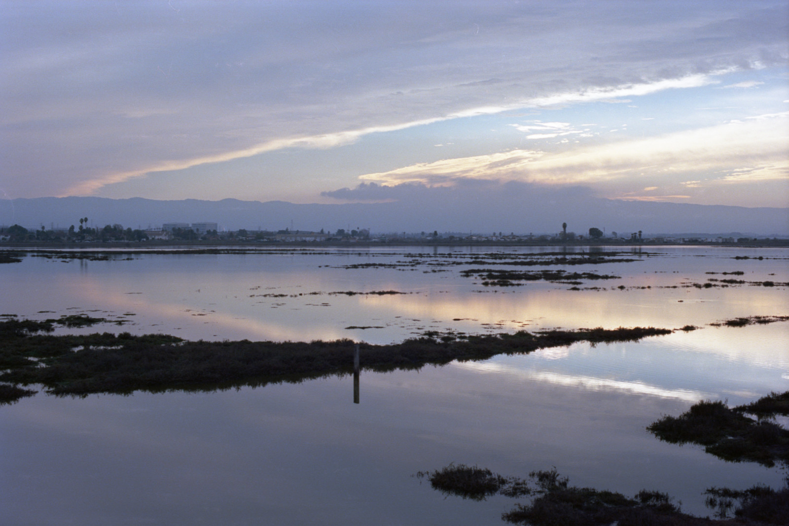 The clouds and the reflections in the water at Don Edwards Wildlife Refuge, Alviso, make a bright V with another V within the vertex. Patches of marsh grass in black silhouette against the blue and gray and silver-gold colors of the reflected sky.