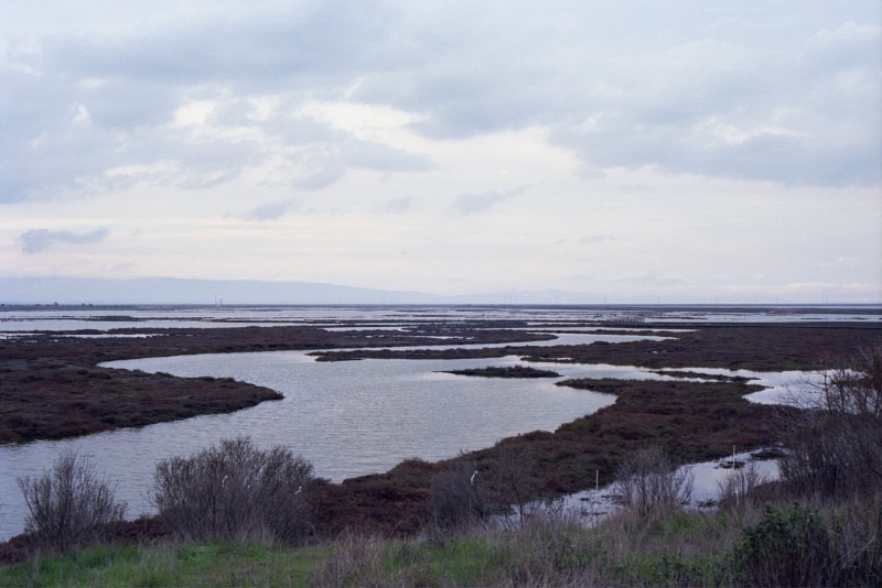 View to the northwest from Don Edwards Wildlife Refuge.