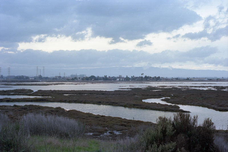 View to the west from Don Edwards Wildlife Refuge.