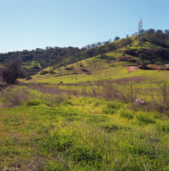 A grassy field climbs from Bailey Avenue up this pretty hill. The hill is more and more populated with oaks as it rises from the meadow. A transmission tower stands on the hill; beyond the tower, a ravine; beyond the ravine, another ridge.