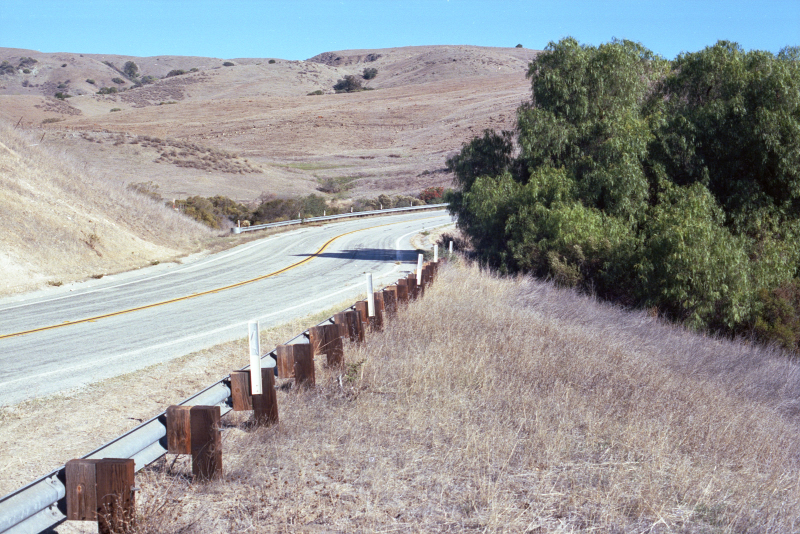 Bailey Avenue making a gentle S-curve down and to the right. Sere bare hills on the other side of the road. On this side of the road, a white curve marker and a stand of thick trees - deep green even in drought - running into the right side of the picture.