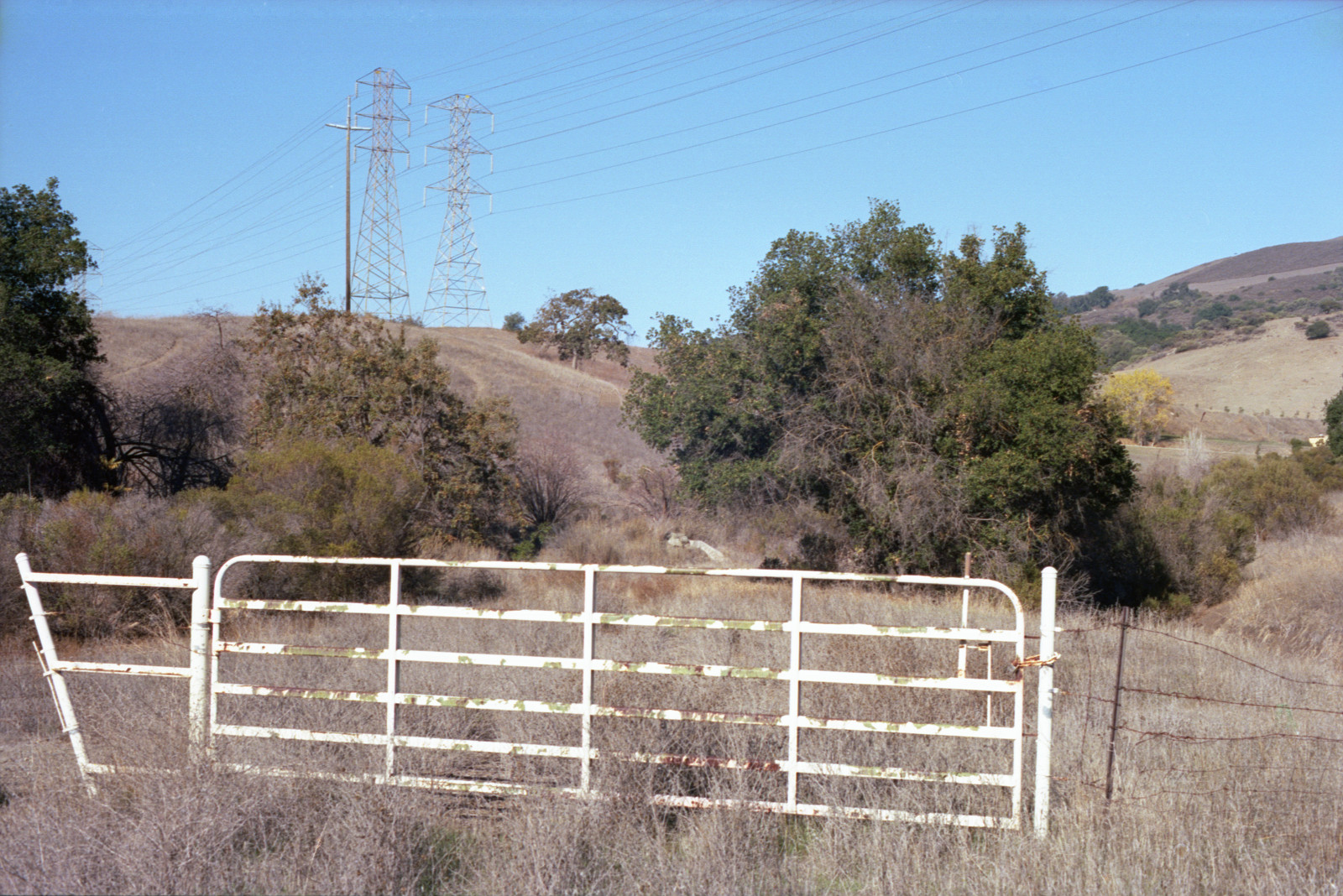 Venerable gate on a ravine along Bailey Avenue.