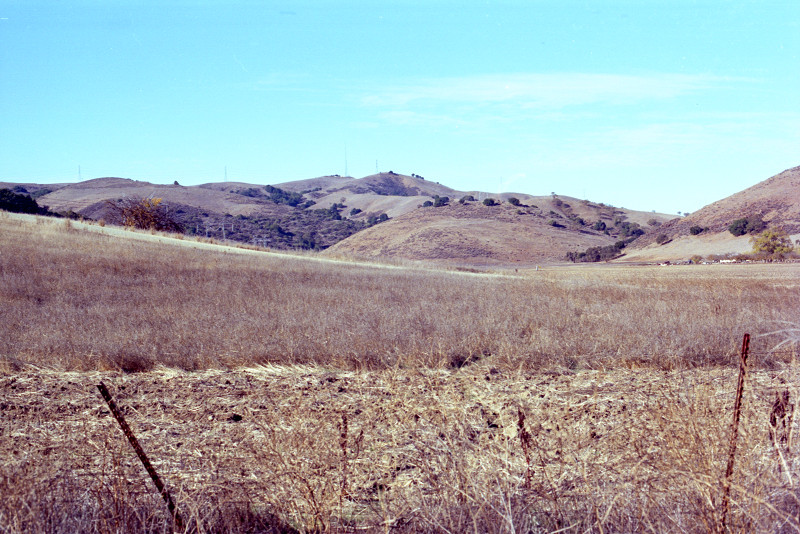 Pasture along Bailey Avenue.