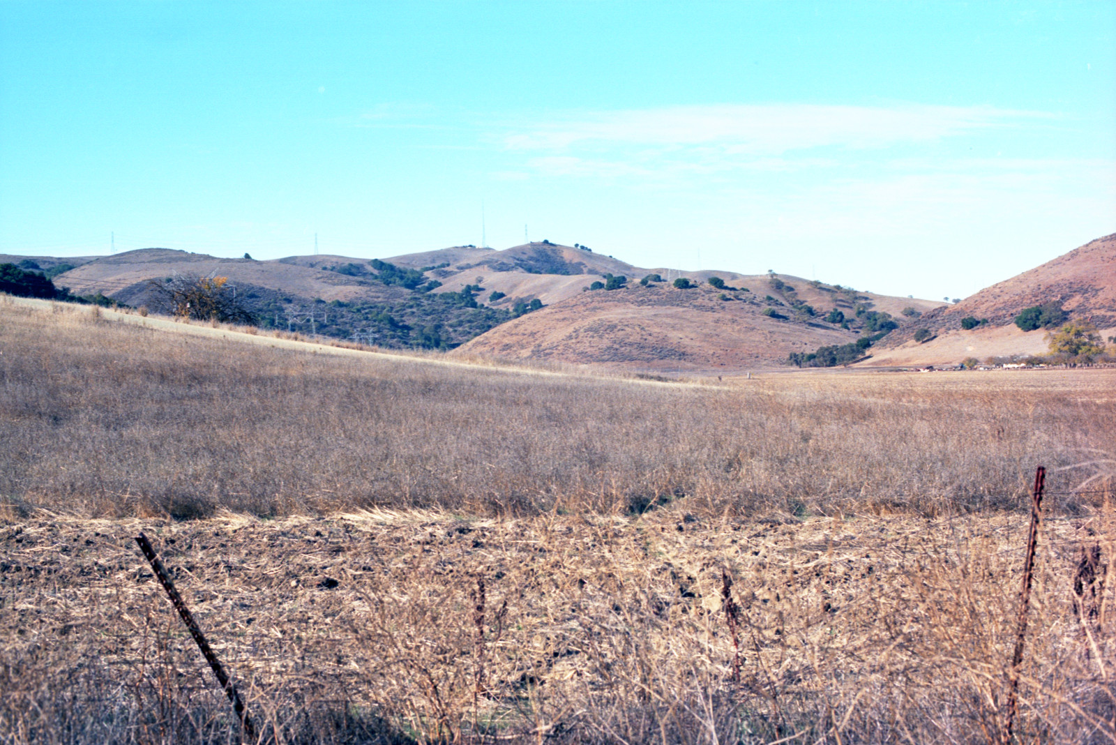 Pasture along Bailey Avenue, south Santa Clara County.