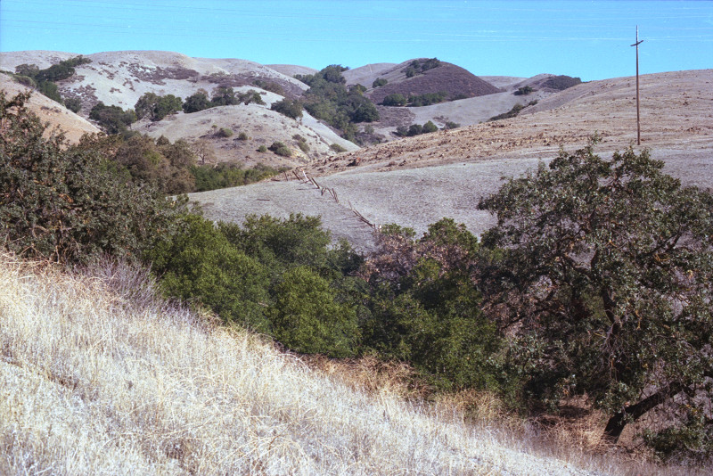 Ravine along Bailey Avenue.