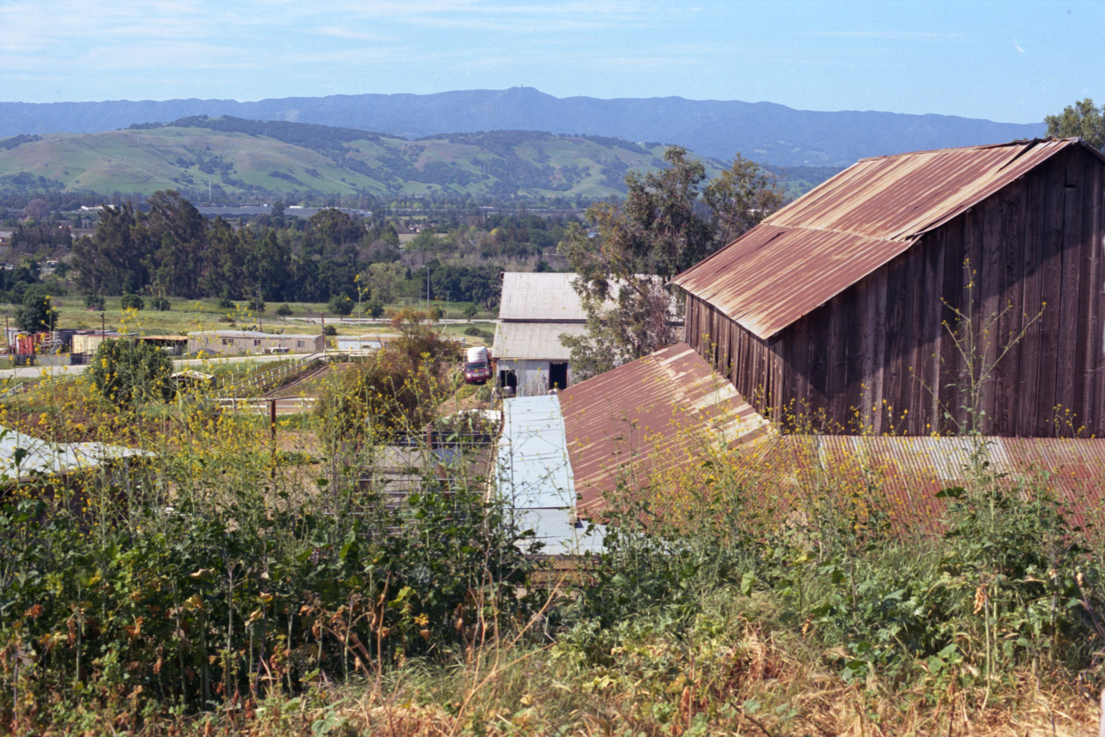 Basilica barn with rusted corrugated iron roof, garden and grasses foreground. In the distance, the valley, then a range of hills, and far distant the coast range, all in winter green. Santa Clara County.