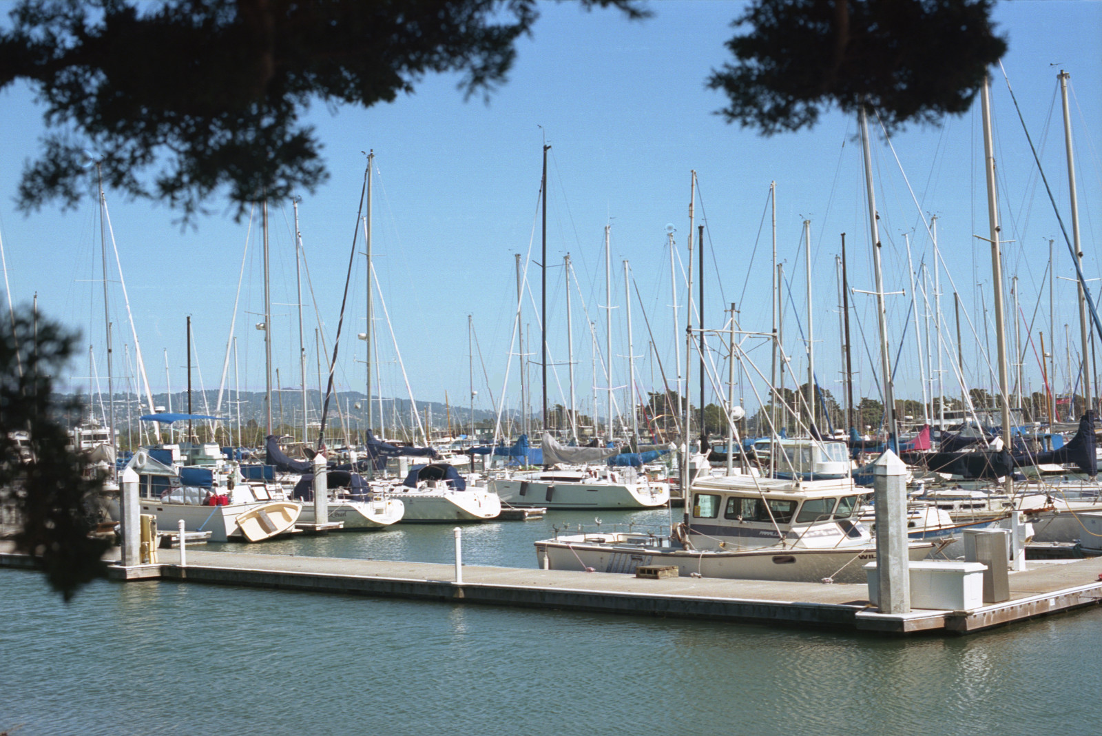 By the Bay Marina Quad - dock in form of a quadrangle at Berkeley Marina