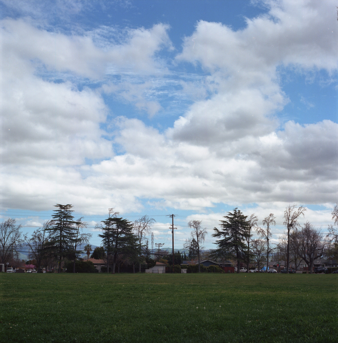 Roy Butcher Park, Cambrian, San Jose.