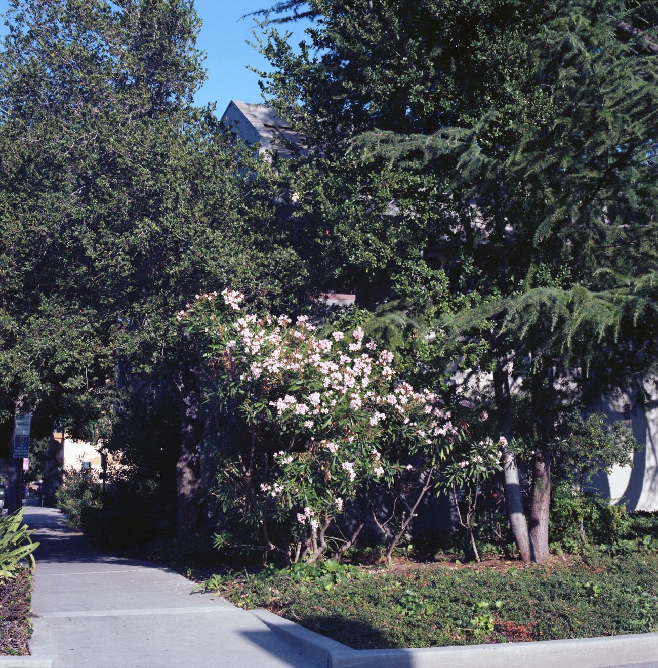 West portal to Campbell Avenue downtown.