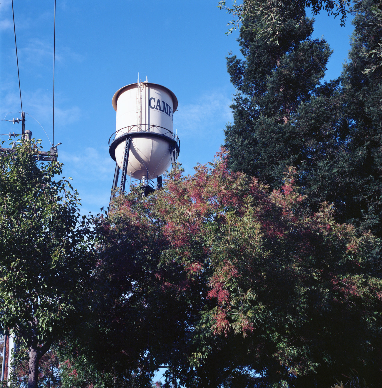 The tower is seen rising above tall trees, the leaves of the trees showing autumn coloration