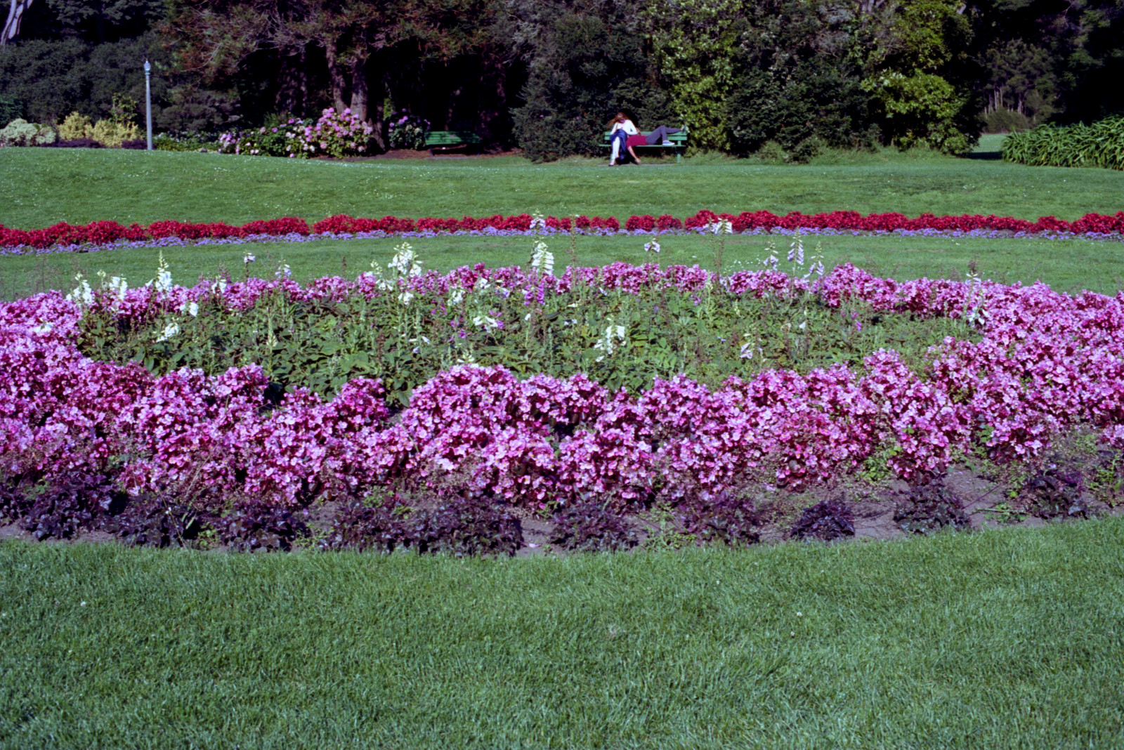 Flower ring at the Hall of Flowers in Golden Gate Park.