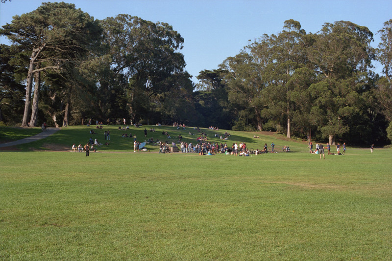Percussionists and listeners enjoy a concert in Golden Gate Park. Most stand in the sunshine at the edge of a large meadow; some prefer the little hill rising from the meadow into the shade of a grove of tall and expansive eucalyptus.