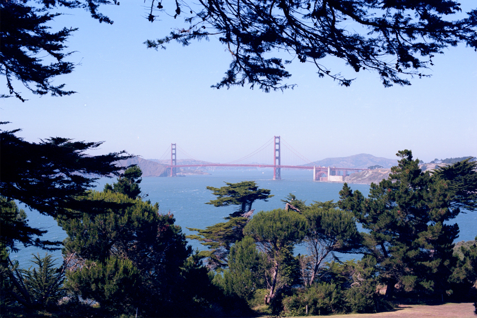 Looking toward the Golden Gate Bridge from the corniche road from Seacliff to the Palace of the Legion of Honor. In the distant background, beyond the bridge, Angel Island.