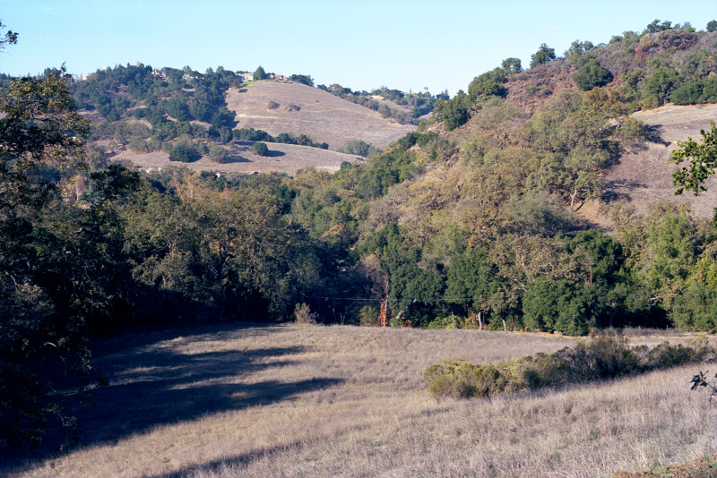 Meadow and hillside at Sierra Azul, Santa Cruz Mountains, near Los Gatos.