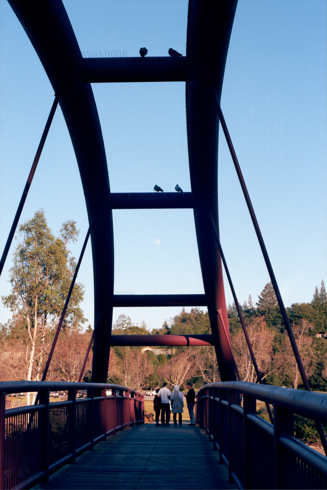 Pedestrian bridge at Vasona Lake Park, Los Gatos.