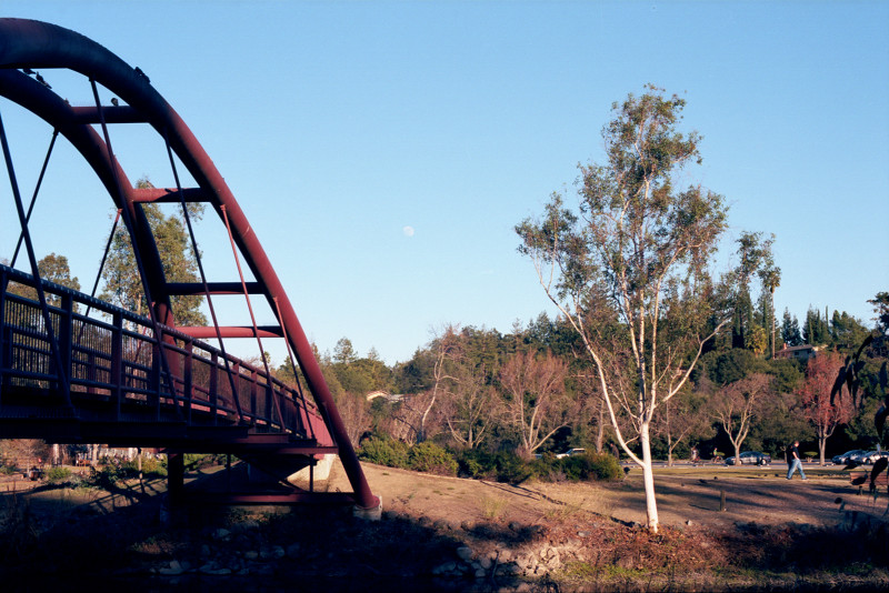 Sunny winter day at Vasona Park in Los Gatos. View of the pedestrian bridge at left; and of a young tree at right. Background, across the meadow, a parking lot and the forest of the Park. And the moon just visible at the center of the photograph.