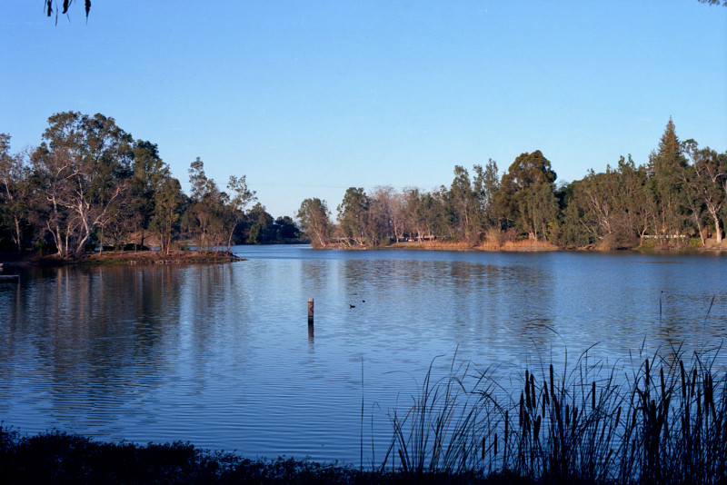 View north across Lake Vasona, Los Gatos.