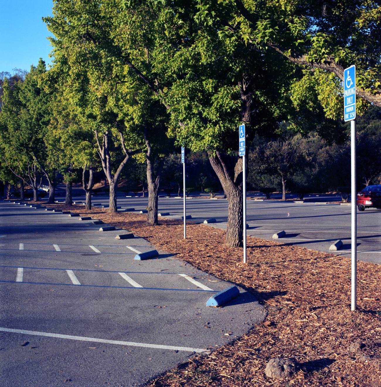 Parking lot at Vasona Park.