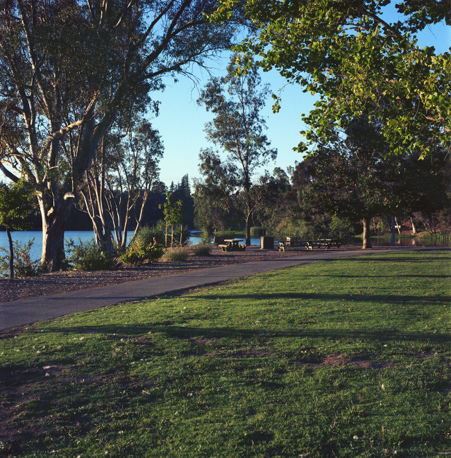 Late afternoon at Vasona Lake, seen from a picnic area near the shore.