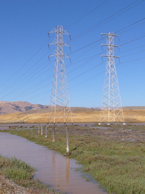 Transmission towers at Don Edwards Wildlife Refuge.